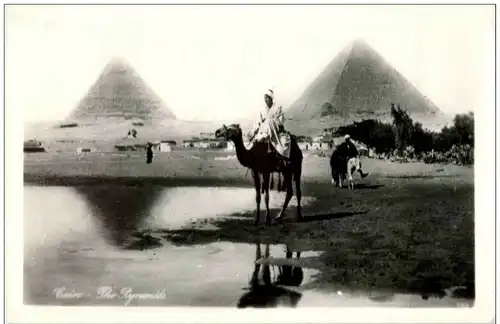 Cairo - The Pyramides -115436