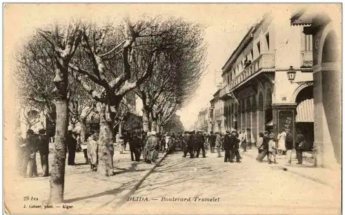 Blida - Boulevard Trumelet -115494