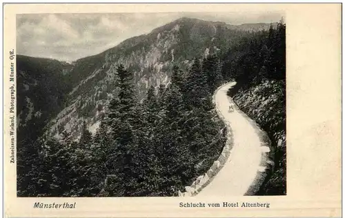 Münsterthal - Schlucht vom Hotel Altenberg -116702