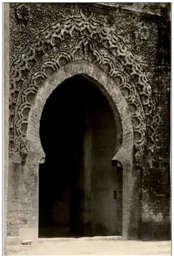 Rabat - La grande Chellah -117228