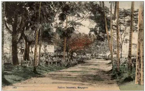 Singapore - Native Cemetery -115778