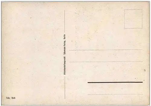 Sunshine Quartett -117632