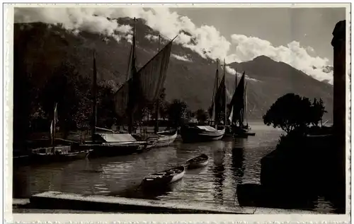 Riva - Vele nel Porto -117684