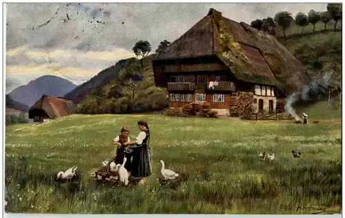 H. Hoffmann - Schwarzwald -118170