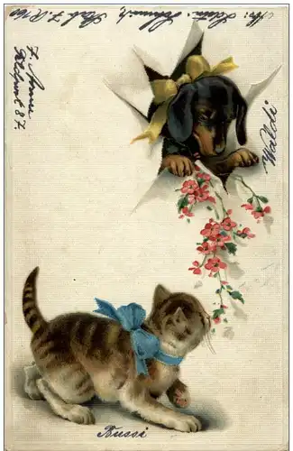 Hund und Katze - Prägekarte -118460