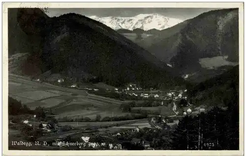 Waldegg mit Schneeberg -119098