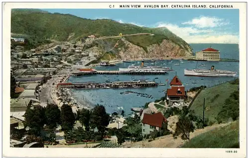 Catalina Island - Avalon Bay -118790