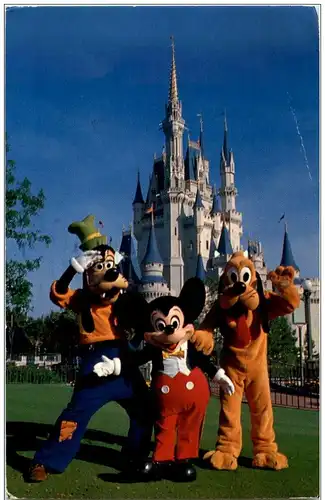 Disney World Mickey Mouse Goofy Pluto -118798