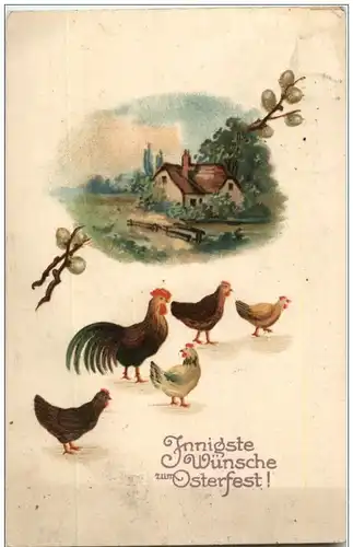 Hühner - Chicken -118536