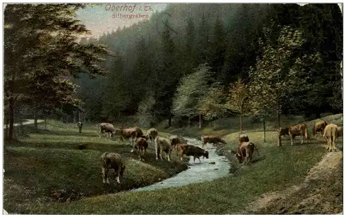 Oberhof in Thüringen - Silbergraben -119646