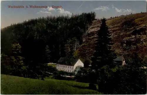 Waldmühle bei Wolkenstein im Erzgebirge -61462