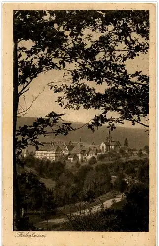 Bebenhausen - Blick auf das Jagdschloss -120170