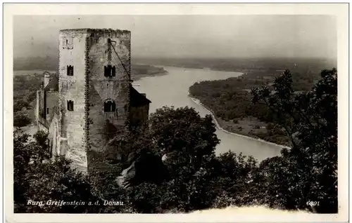 Burg Greifenstein an der Donau -119578