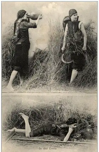 In der Ernte -118542