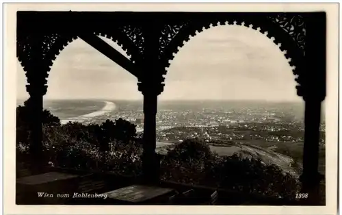 Wien vom Kahlenberg -120364