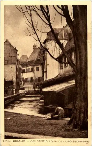Colmar - Vue prise du Quai de la Poissonnerie -63478