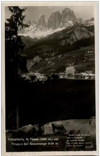 Gruppo del Sassolungo -120790