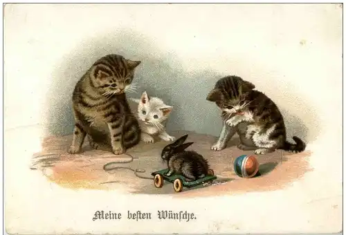 Katzen - Litho -121456