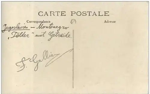 Montenegro - Felder und Getreide -121130