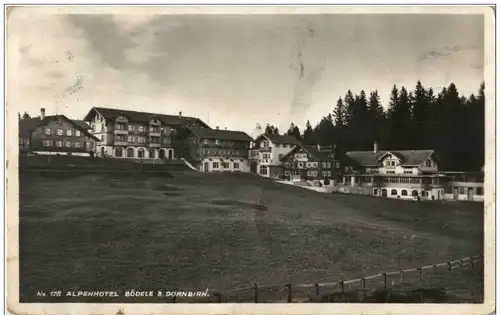 Alpoenhotel Bödele bei Dornbirn -120274