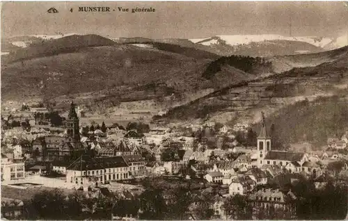 Munster -64578