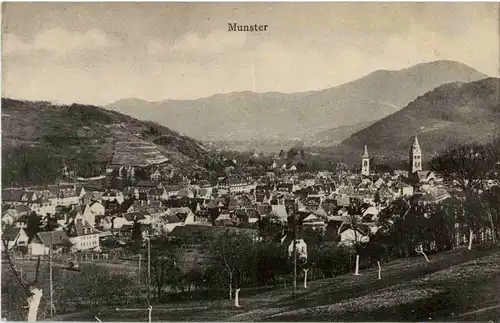 Munster -64598