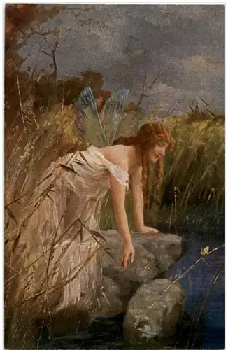 Berger - Libelle -122528