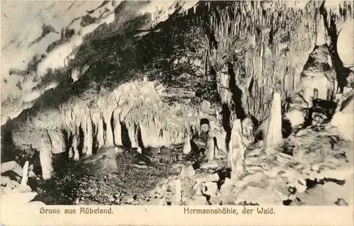 Gruss aus Rübeland - Hermannshöhle -64876