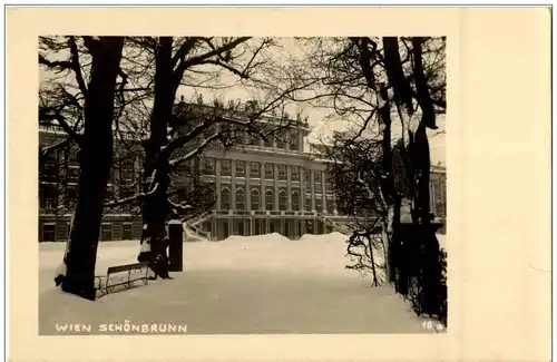 Wien Schönbrunn im Winter -122632