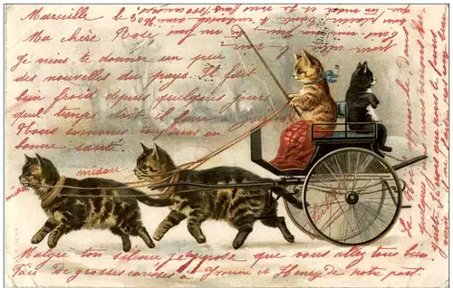 Katzen - Litho - Kutsche -121454