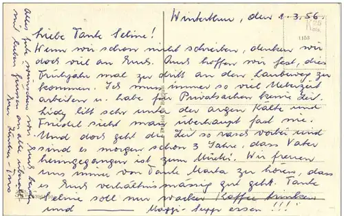 Katzen - Humor -121504