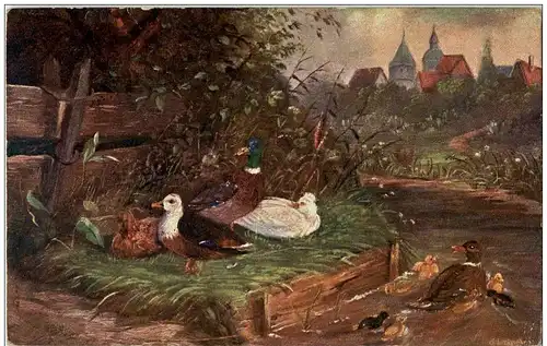 Ente Künstlerkarte -122480