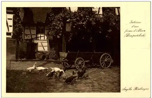 Lampertsloch - Interieur d une ferme d Alsace -123796