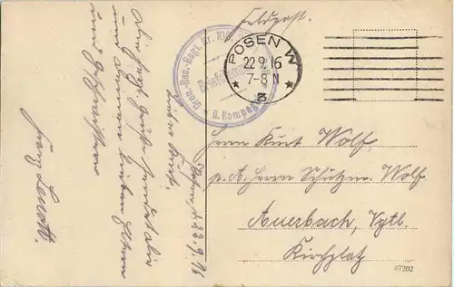 Posen - Rathaus -66574