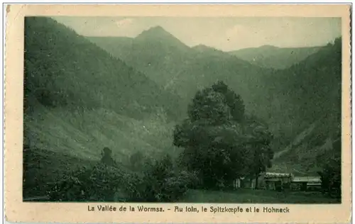 La vallee de la Wormsa - Au loin le Spitzköpfe et le Hohneck -124010