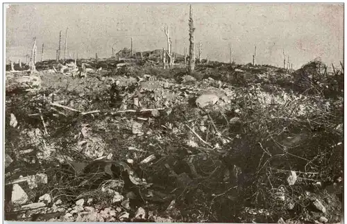 Vieil Armand - Hartmannswillerkopf -123858