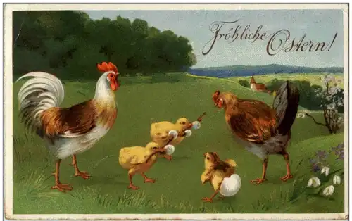 Huhn Chicken -123466