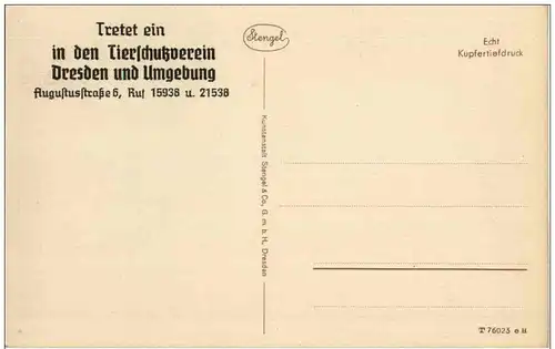 Tierschutzverein Dresden -121626