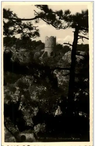 Wien Mödling - Schwarzer Turm -122846