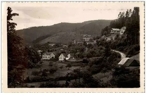 Wangenbourg - Montee au Wangenbourg -124348