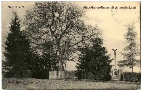 Woerth sur Sauer - Mac Mahon Baum -124310