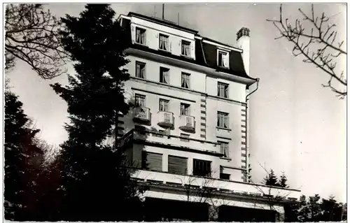 Trois Epis - Drei Ähren -124460