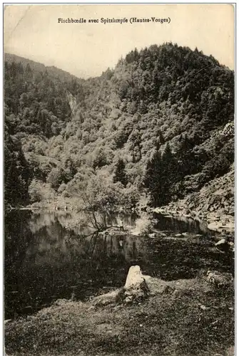 Fischboedle avec Spitzkoepfe -124056