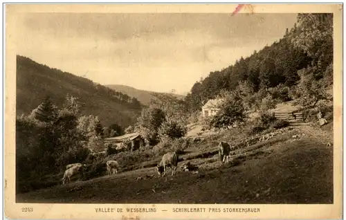 Vallee de Wesserling - Schirlematt pres Storkensauen -124224