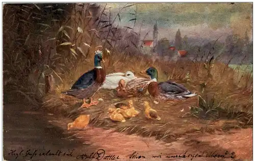 Ente Künstlerkarte -122478