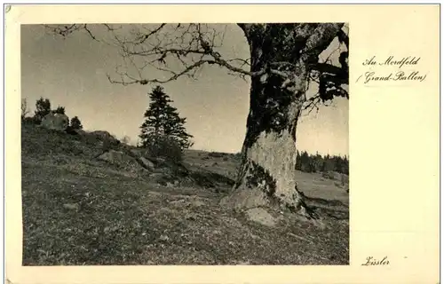 Grand Ballon - Am Mordfeld -123836