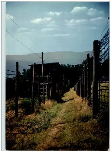 Camp de Deportation de Natzwiller Struthof -124766