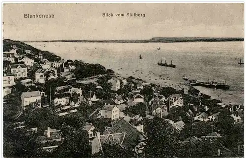 Blankenese - Blick vom Süllberg -125110