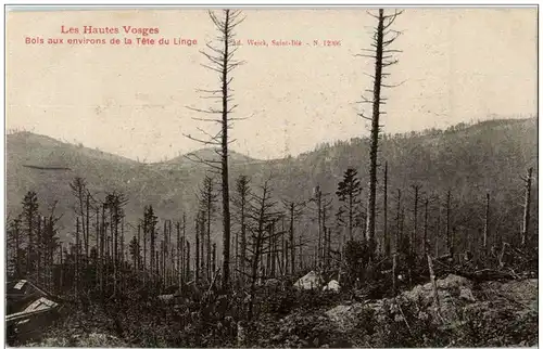 Bois aux environs de la Tete du Linge -123782