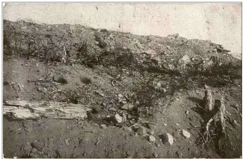 Vieil Armand - Hartmannswillerkopf -123856